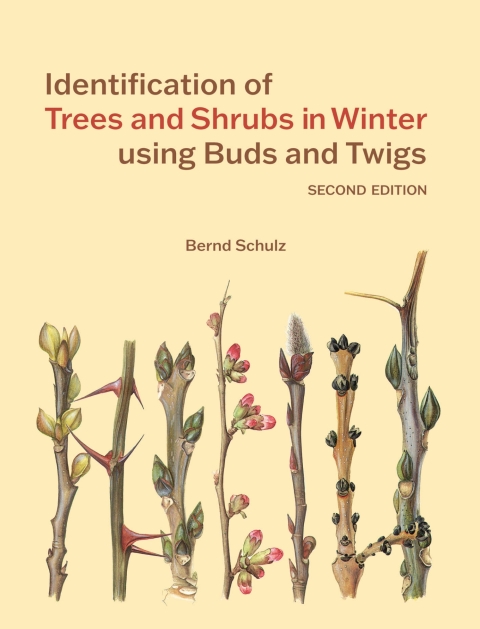 Cover image for book Identification of Trees & Shrubs in Winter Using Buds and Twigs