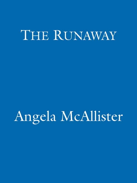 Cover image for book The Runaway