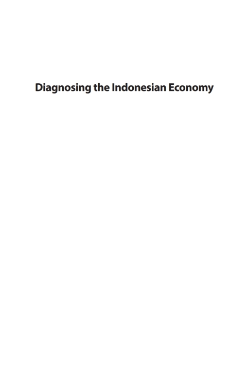 Cover image for book Diagnosing the Indonesian Economy