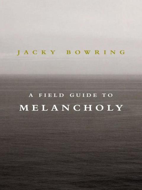 Cover image for book A Field Guide to Melancholy
