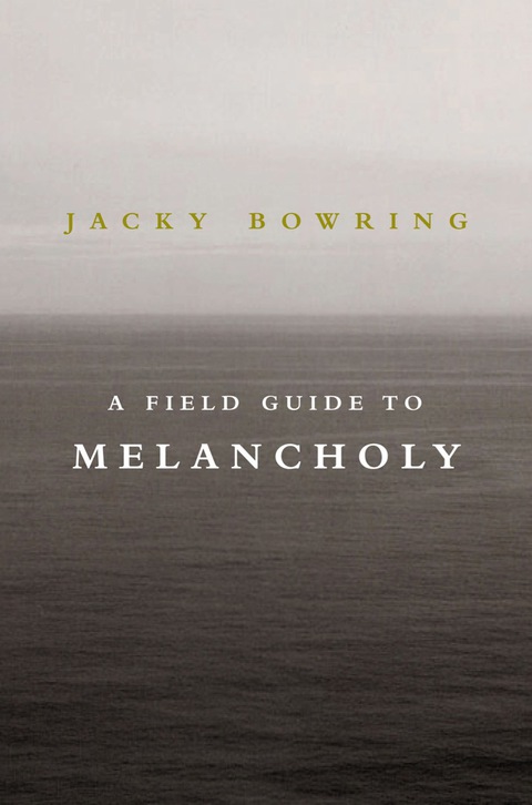 Cover image for book A Field Guide to Melancholy