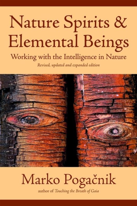 Cover image for book Nature Spirits & Elemental Beings