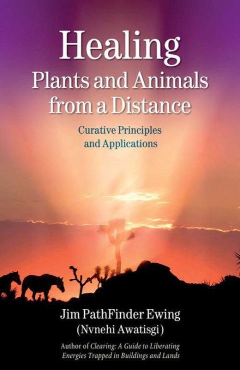 Cover image for book Healing Plants and Animals from a Distance