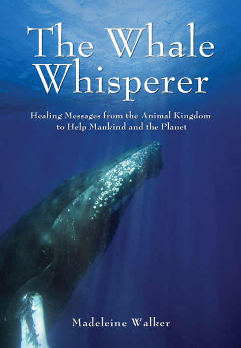 Cover image for book The Whale Whisperer