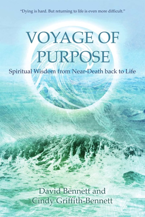 Cover image for book Voyage of Purpose
