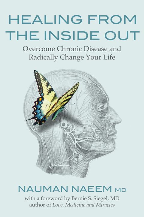 Cover image for book Healing from the Inside Out
