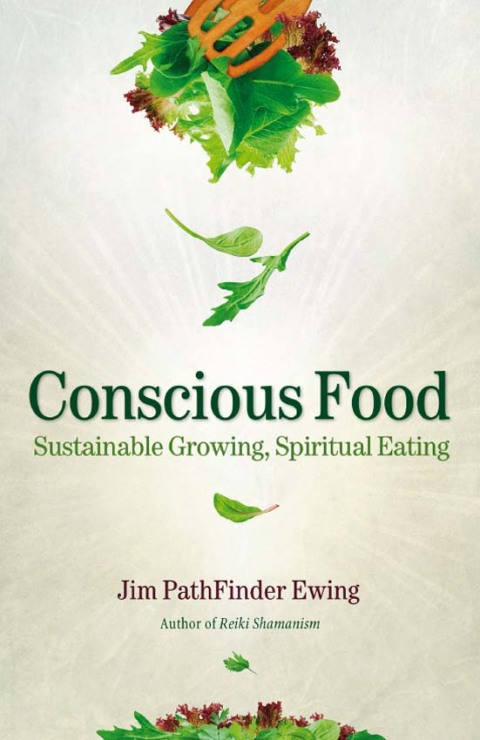 Cover image for book Conscious Food