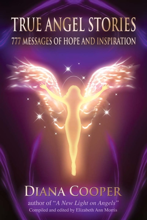 Cover image for book True Angel Stories