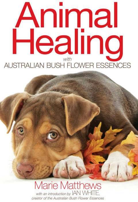 Cover image for book Animal Healing with Australian Bush Flower Essences