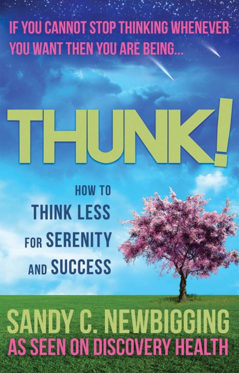 Cover image for book Thunk!