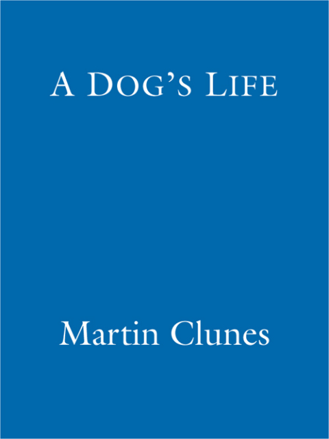 Cover image for book A Dog's Life