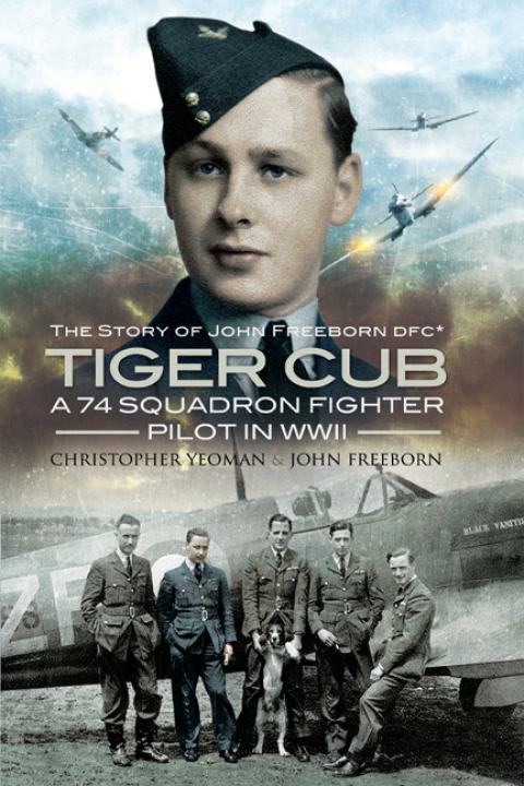 Cover image for book Tiger Cub