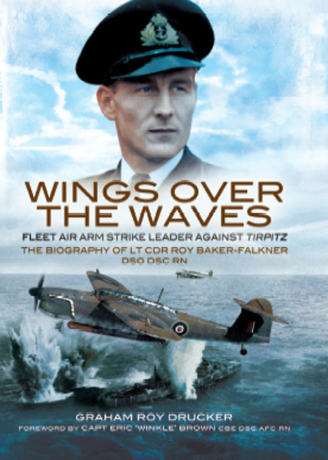 Cover image for book Wings over the Waves