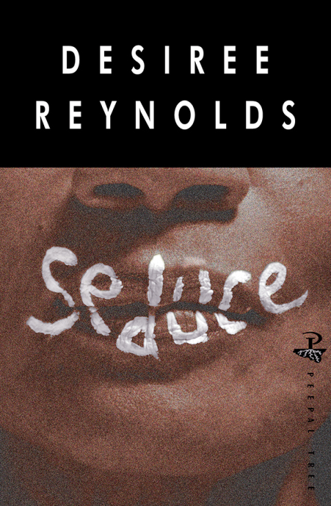 Cover image for book Seduce