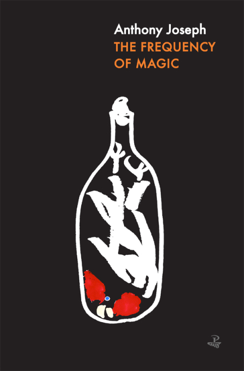 Cover image for book The Frequency of Magic