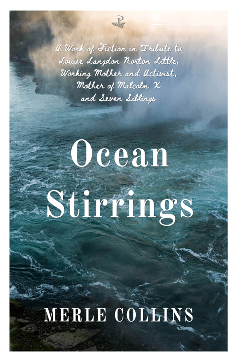 Cover image for book Ocean Stirrings
