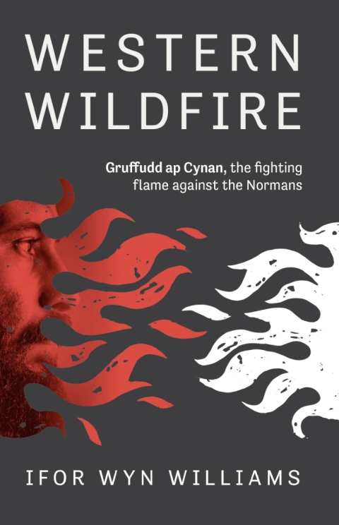 Cover image for book Western Wildfire