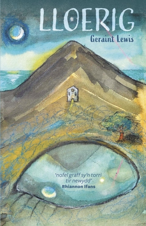 Cover image for book Lloerig