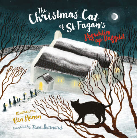 Cover image for book The Christmas Cat at St Fagan's