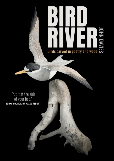 Cover image for book Bird River