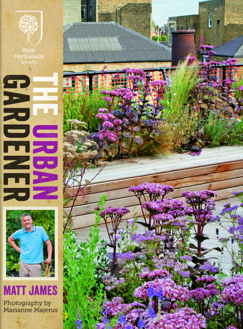 Cover image for book RHS The Urban Gardener