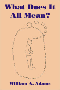 Cover image: What Does It All Mean? 1st edition 9781845401016