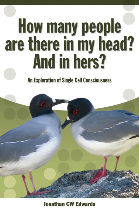 Cover image for book How Many People Are There In My Head? And In Hers?