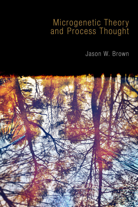 Cover image for book Microgenetic Theory and Process Thought