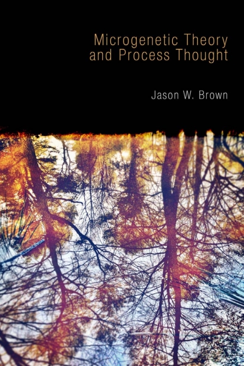 Cover image for book Microgenetic Theory and Process Thought