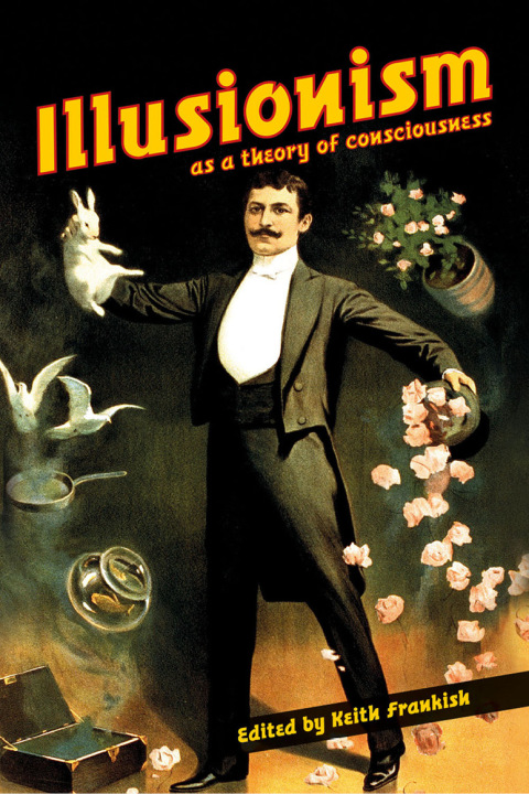 Cover image for book Illusionism