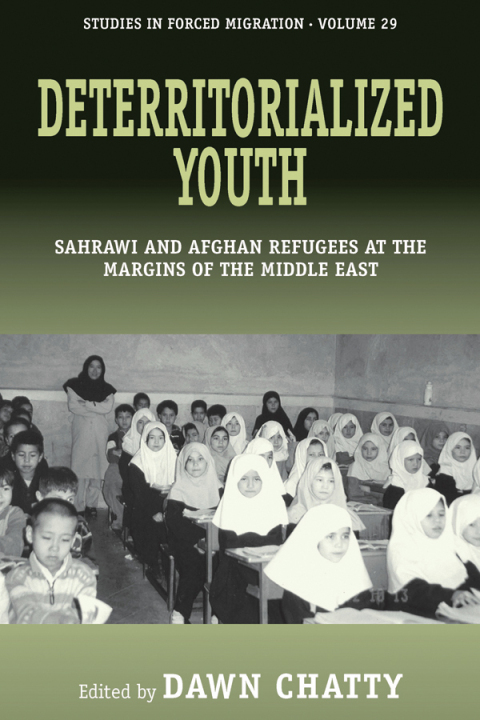 Cover image for book Deterritorialized Youth