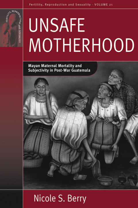 Cover image for book Unsafe Motherhood