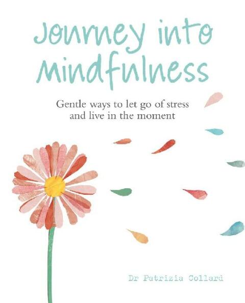 Cover image for book The Little Book of Mindfulness
