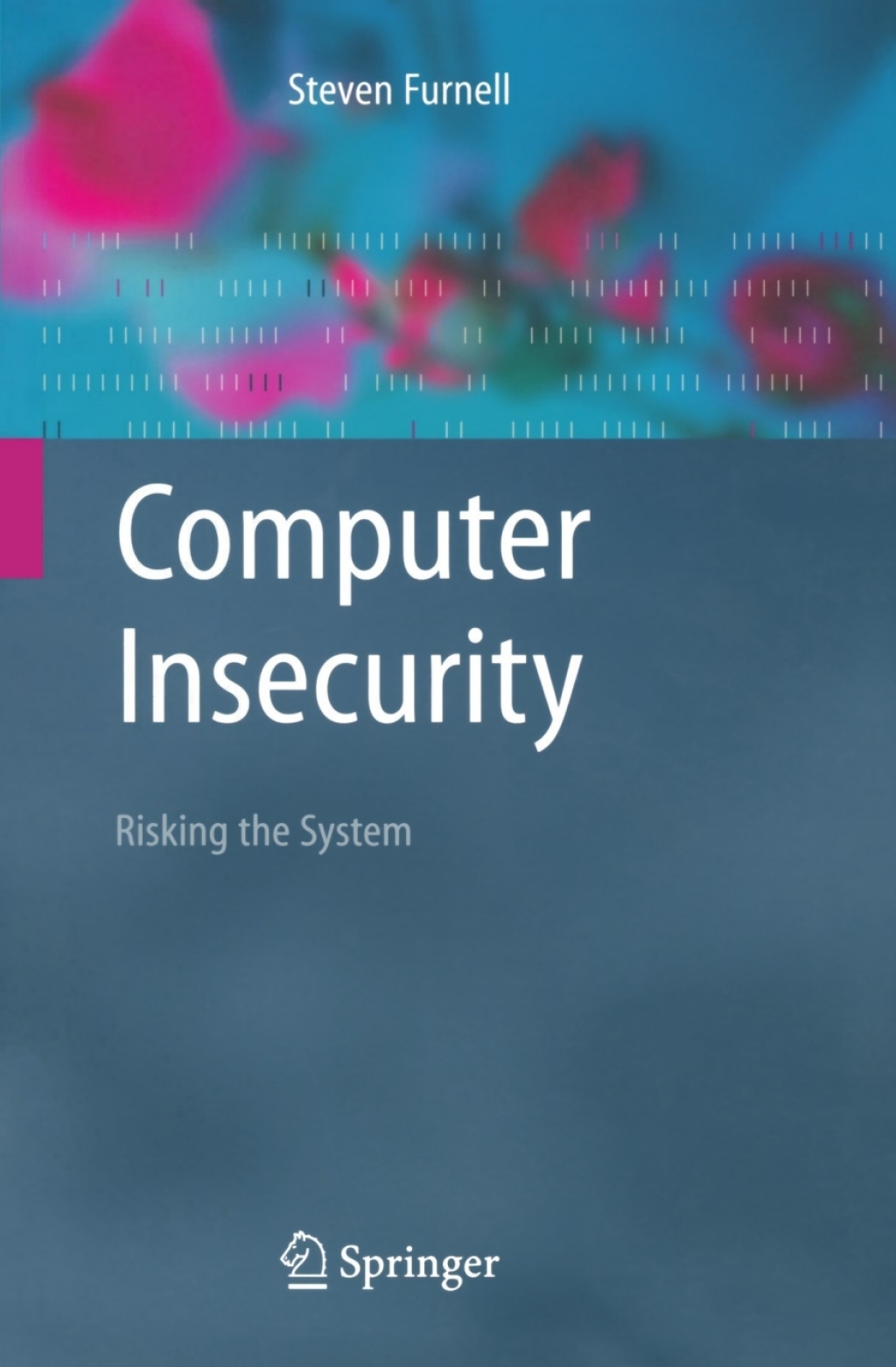 Computer Insecurity (eBook)