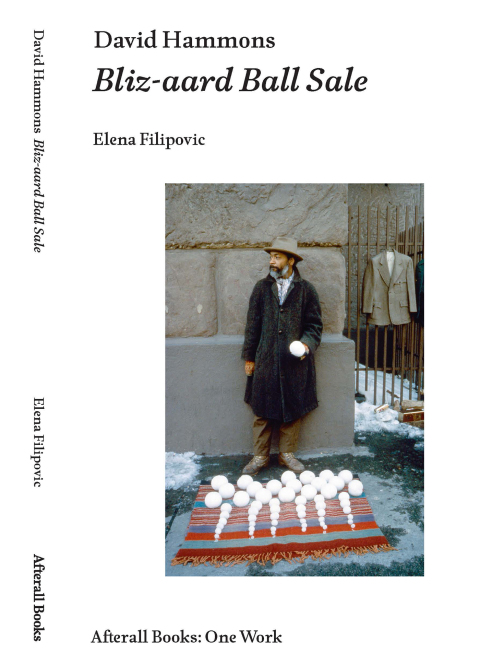Cover image for book David Hammons