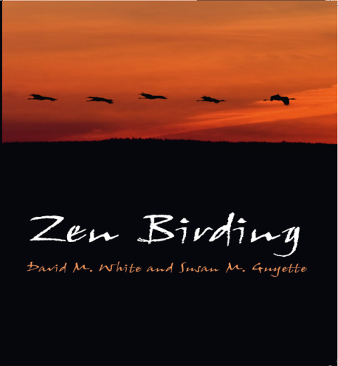 Cover image for book Zen Birding
