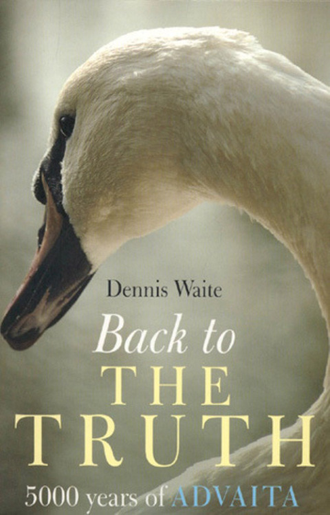 Cover image for book Back To The Truth