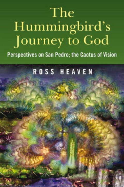 Cover image for book Hummingbirds Journey To God: Perspective
