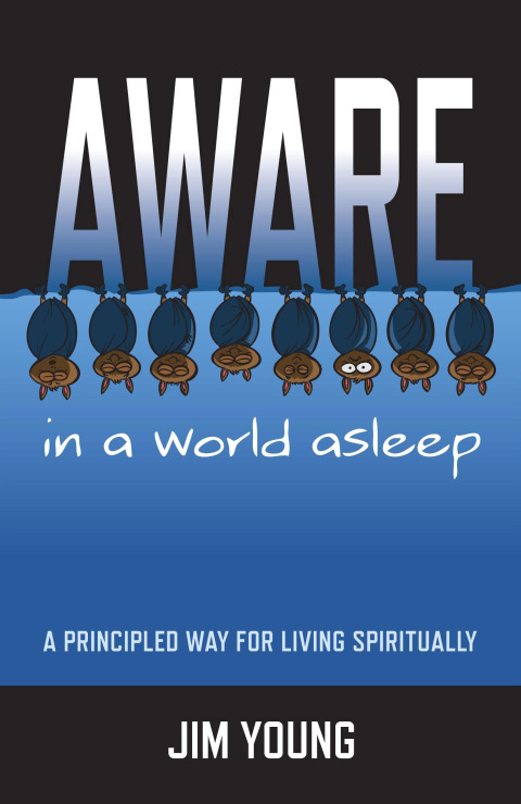 Cover image for book Aware In A World Asleep