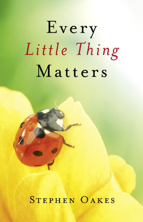 Cover image for book Every Little Thing Matters
