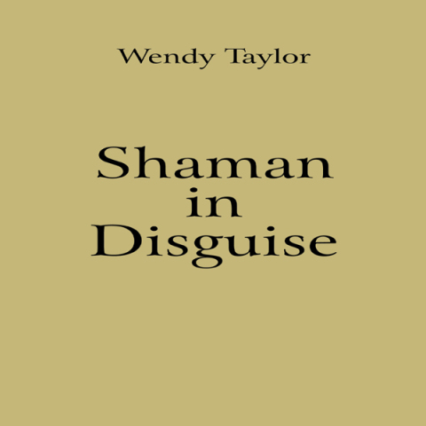 Cover image for book Shaman in Disguise