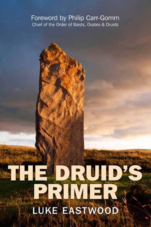 Cover image for book Druid's Primer