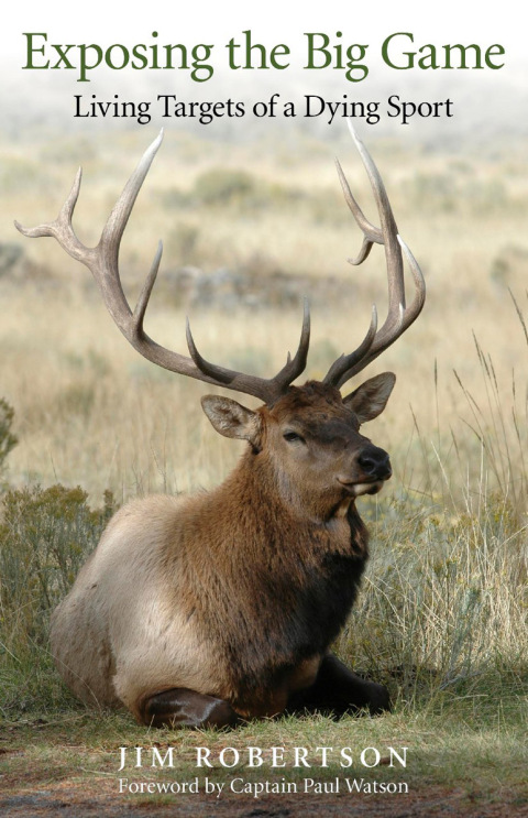 Cover image for book Exposing the Big Game