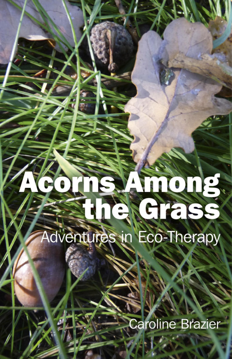 Cover image for book Acorns Among the Grass