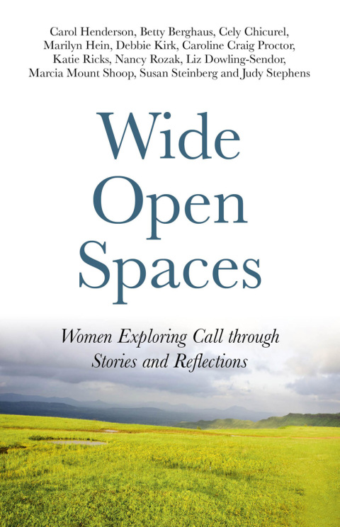 Cover image for book Wide Open Spaces