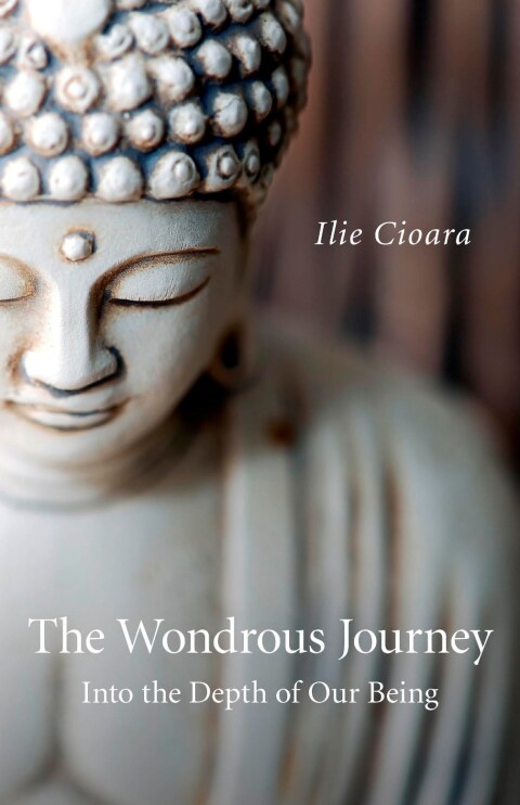 Cover image for book Wondrous Journey