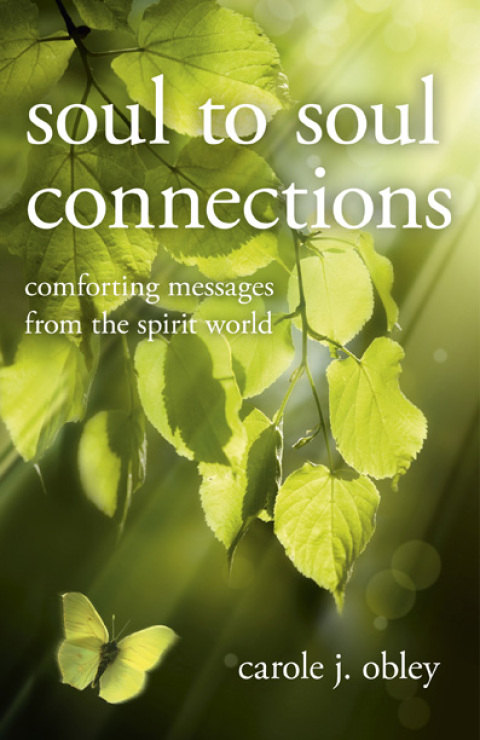 Cover image for book Soul to Soul Connections