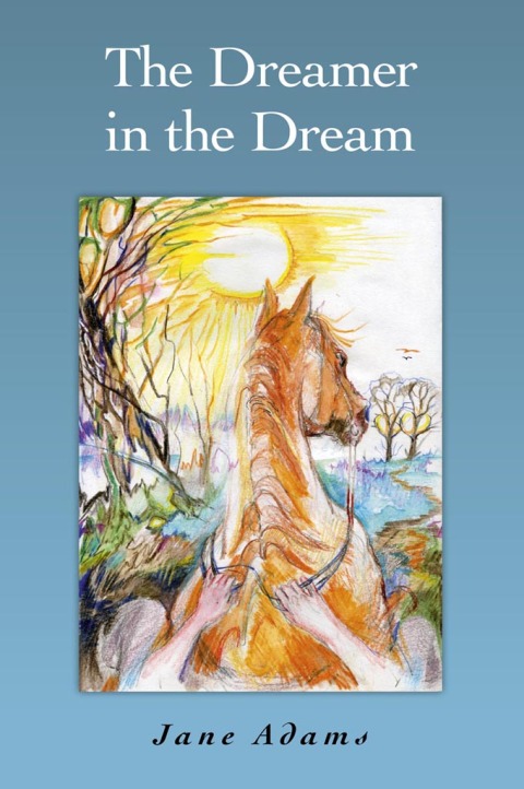 Cover image for book Dreamer in the Dream