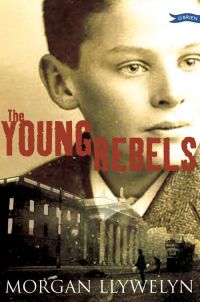 Cover image: The Young Rebels 9780862785796