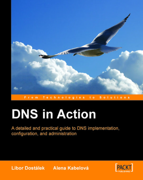 Cover image for book DNS in Action